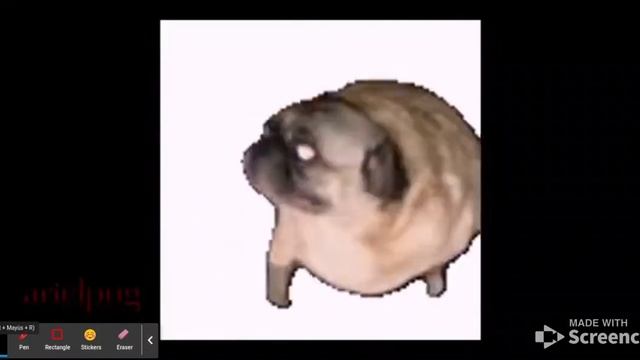Salami Salami Gulp Gulp Gulp Gulp смотреть онлайн