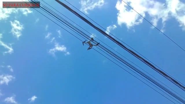 VLOG DRONE 4DRC F10 ENGANCHA NO FIO смотреть онлайн