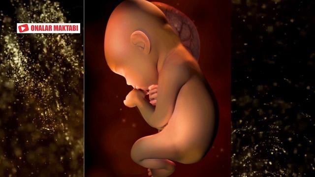 8-Ойлик Хомила || 8-Oylik Homila  #OnalarMaktabi #2020