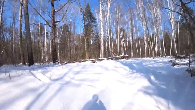 Выживание в тайге. 4 дня на Зимовье. Наедине с тайгой. смотреть онлайн