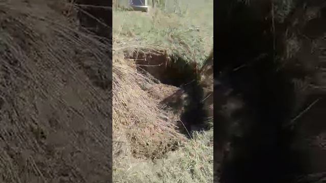 Айдоодон улам мүрзө түшүп атат 2 смотреть онлайн
