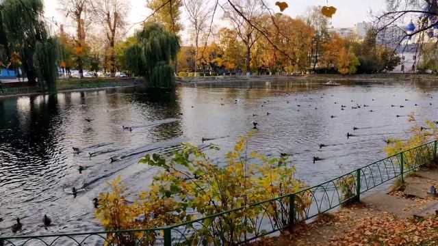 Осенний листопад смотреть онлайн