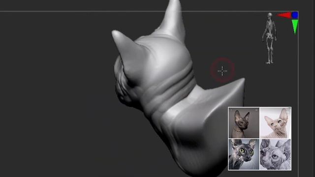 Zbrush timelapse - sphynx cat potrait смотреть онлайн