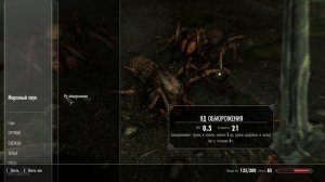 Полное прохождение skyrim ( БЕЗ КОМЕНТАРИЕВ )