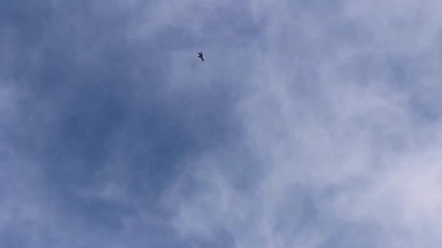 Large Scale F-22 Raptor Turbine Jet (Yellow Aircraft) - Best in the West 2018 смотреть онлайн