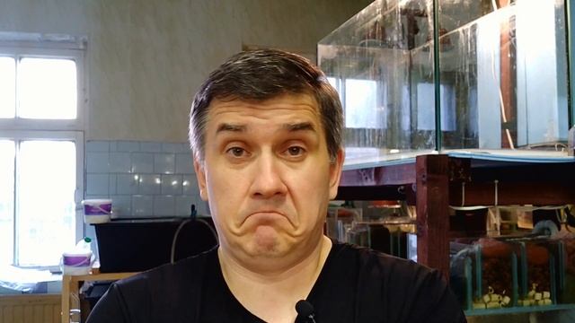 Как отмыть аквариум от известкового налета? смотреть онлайн