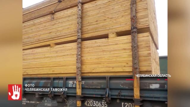 Из Челябинской области в Узбекистан пытались незаконно вывести деревянные доски смотреть онлайн