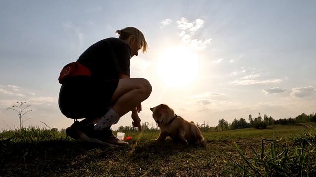 Опять с Бурькой едем в Krutoy смотреть онлайн