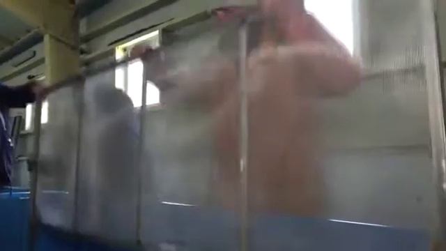 Репортаж о выпуске молоди кеты на Барабашевском ЛРЗ смотреть онлайн