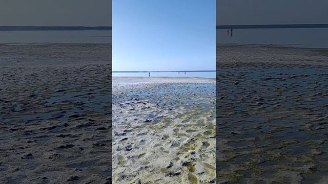 Озеро Медвежье смотреть онлайн