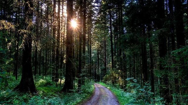 Продолжение смотреть онлайн