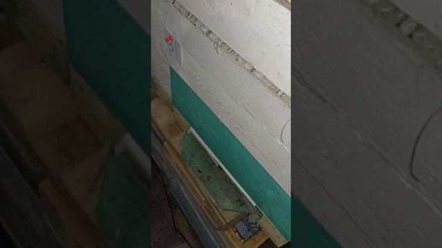 сегодня на пасеке в вологодской области смотреть онлайн