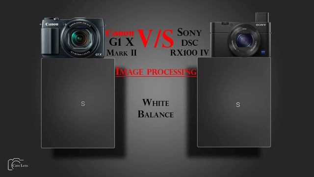 Canon G1 X Mark II vs Sony DSC RX100 IV смотреть онлайн