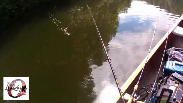 TOPWATER BASS CHALLENGE: Ozark Trail Popper vs The Hula Popper смотреть онлайн
