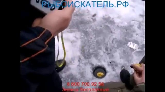 Fish Finder тестирование зимой