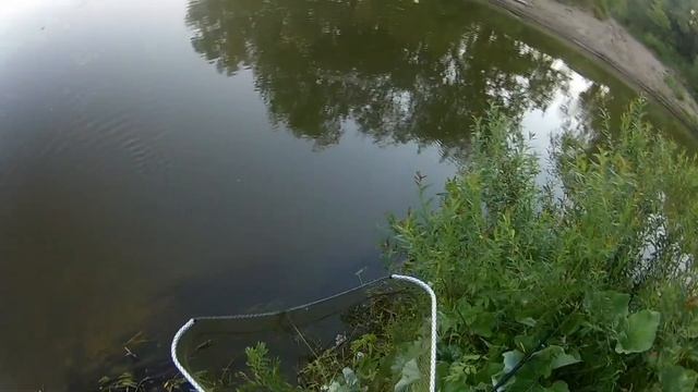 "КАРАСЬ И ПЛОТВА НА ПЕРЛОВКУ" Рыбалка на реке Сура. смотреть онлайн