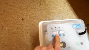 Настройки WQ-24. Инкубатор.