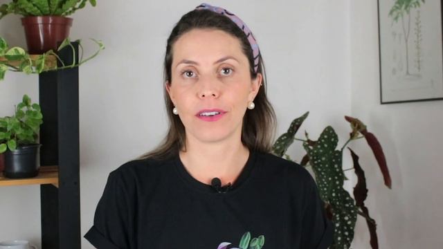 JURUBEBA | O que é, para que serve e como consumir смотреть онлайн