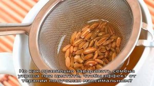 Как правильно заваривать семена укропа при цистите