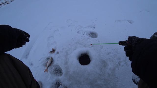 Ловля плотвы зимой 2021-2022 лучшее закрытие! смотреть онлайн