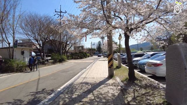 ?벚꽃구경 가신다구요? ? 올해 벚꽃구경은 여기로 오시면됩니다! ? смотреть онлайн