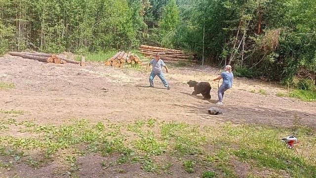 Дрессировка собак в Реже. Защита. От 30 июня 2023 года.