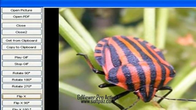 GdViewer Pro ActiveX Free Download смотреть онлайн
