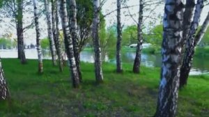 За тихой рекою