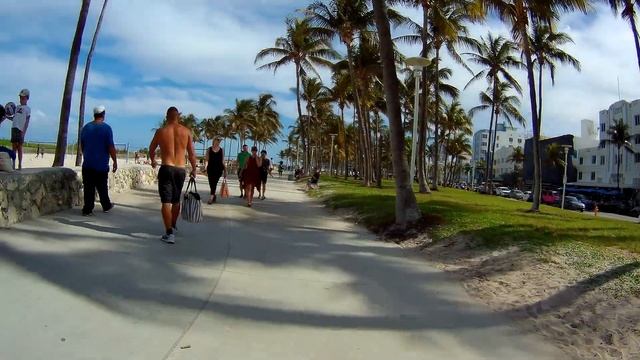 Lummus Park is the Best Beach Park, South Beach, Miami Beach, Florida смотреть онлайн