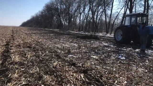 Мульчирование стерни кукурузы без мульчера. смотреть онлайн
