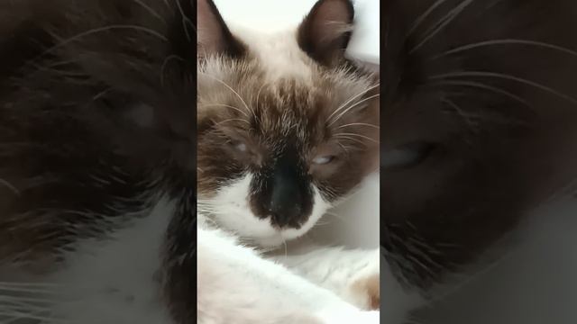 когда заснул и забыл закрыть глаза смотреть онлайн