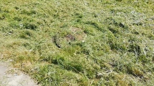 Открытый люк!!! смотреть онлайн