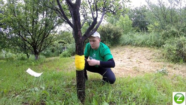 ЛОВЧИЙ ПОЯС ОТ МУРАВЬЕВ за 5 минут смотреть онлайн