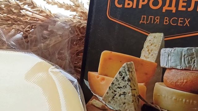 Мааздам-теплая фаза в вакууме. смотреть онлайн