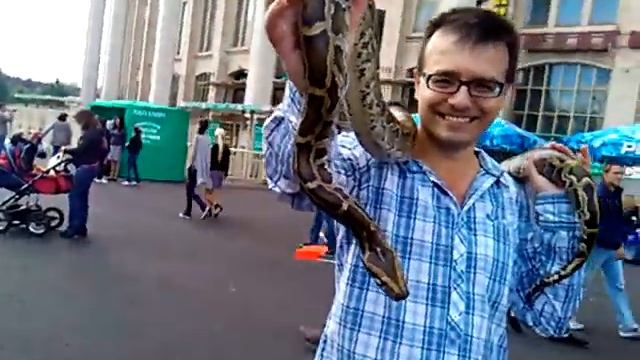 Тигровый питон и Геннадий Пастухов. смотреть онлайн