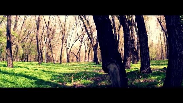 Природа Талдыкорган смотреть онлайн