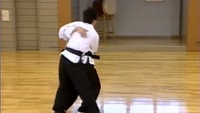 Мастер Су Донг Чен | Su Dong Chen - Bible Of Kungfu