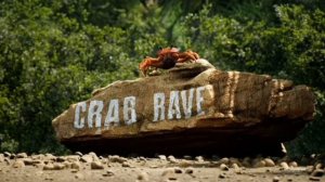 Crab Rave | Рейв Крабов. Noisestorm Song.