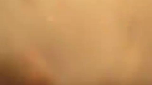 В цирке лев напал на человека смотреть онлайн