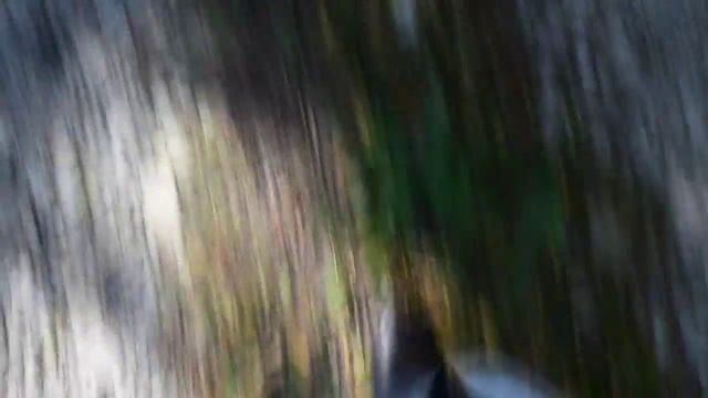 Чем заняться на каникулах ?/10 полезных дел смотреть онлайн