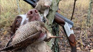 Устранение проблем в УСМ ТОЗ-34