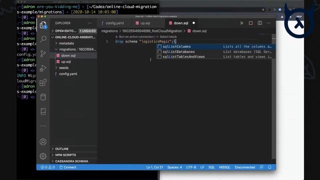 Database Migrations | Patterns and Best Practises смотреть онлайн