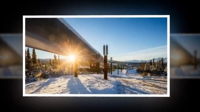 Вот это да! Ошибка Штатов по Аляске неожиданно подарила РФ крупную победу смотреть онлайн