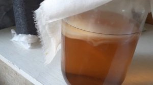 Чайный гриб и уксусная матка,это два гриба???!!?