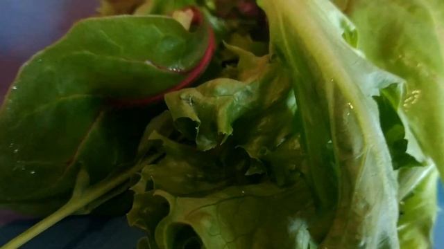 Салат Нисуаз родом из Ниццы смотреть онлайн