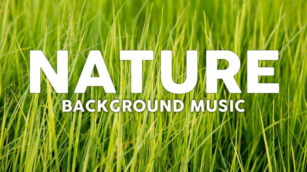 Background Music For Nature Video