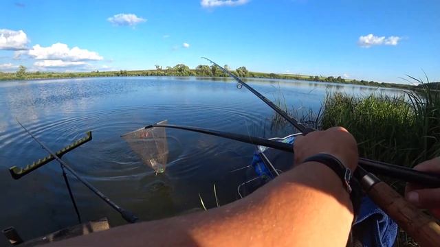 Голодяевский пруд, таким должен быть платник, июль 2021 г смотреть онлайн