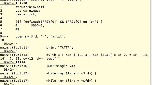 Debugging in Perl смотреть онлайн