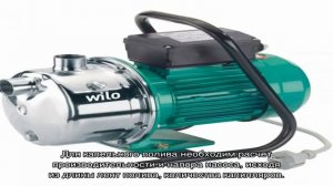 Выбираем насос для полива дачных грядок из бочки