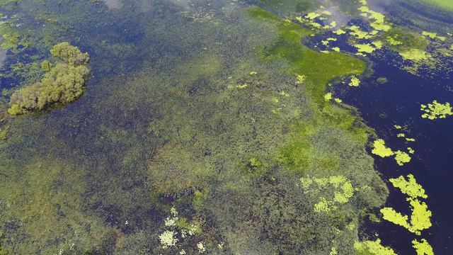 Flying over Long Lake in Orlando, Florida (ASMR) смотреть онлайн